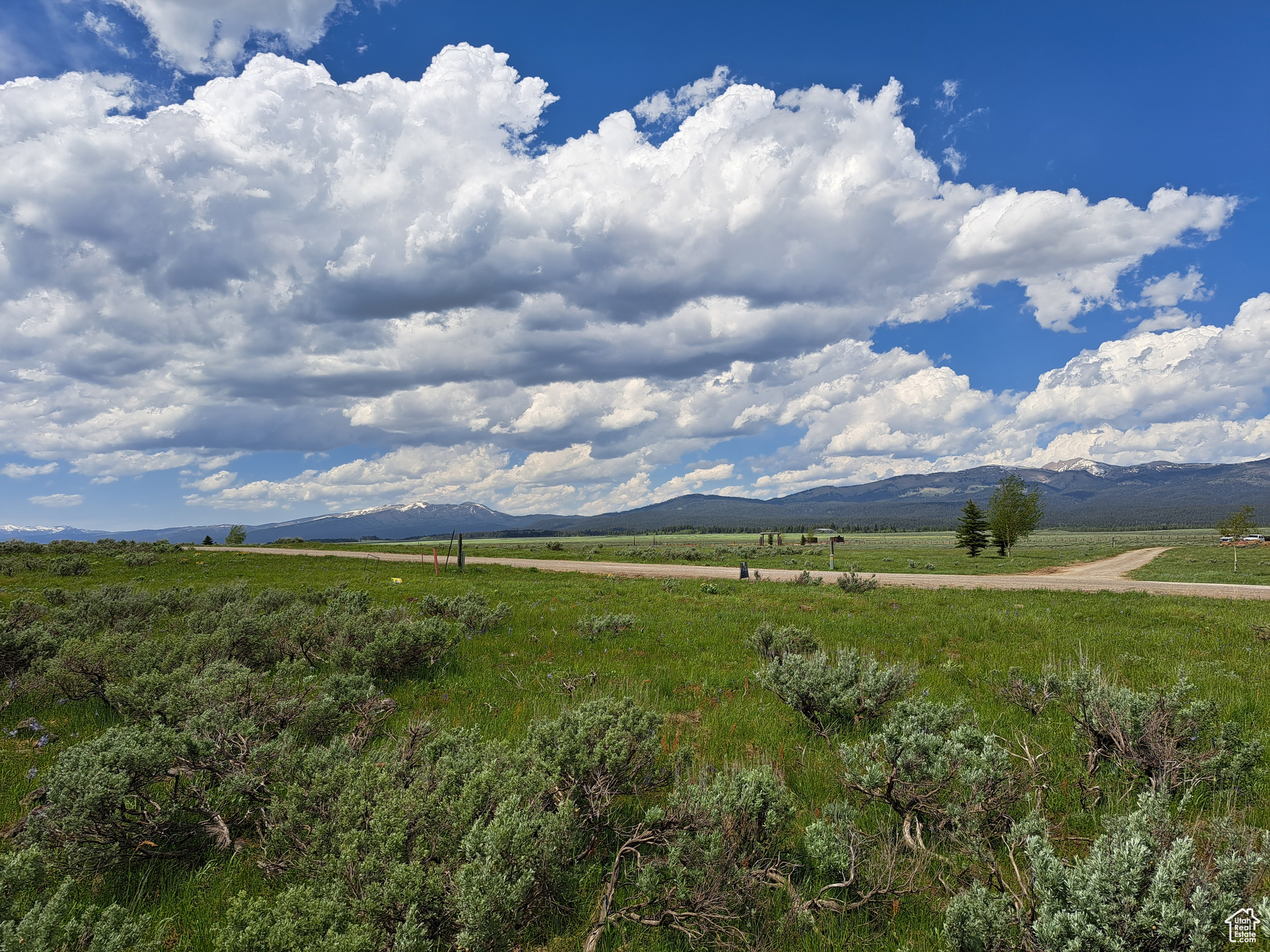 3380 Eagles Rd #LOT 33, Island Park, Idaho image 20