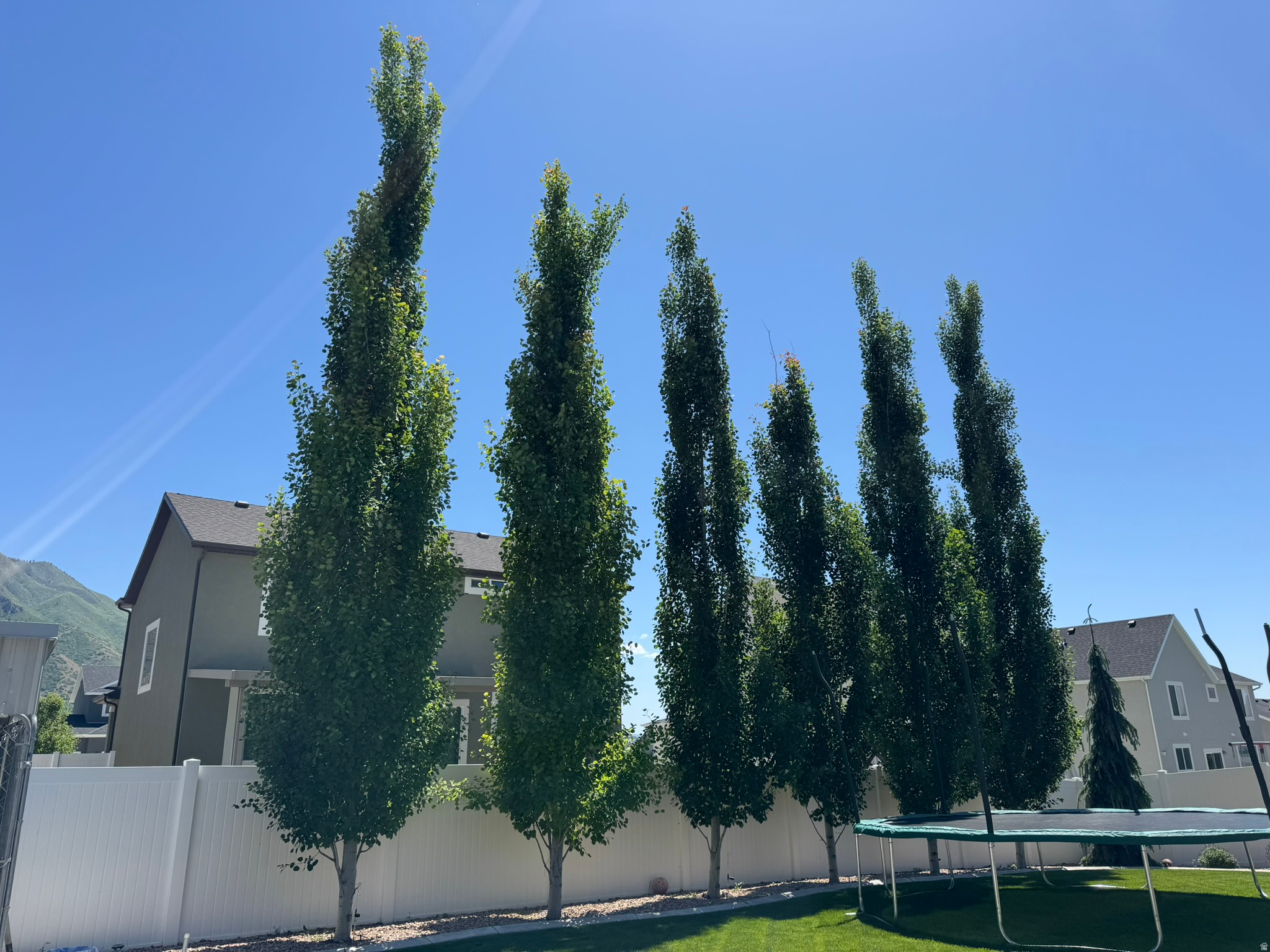 SPRINGSIDE MEADOWS - Residential