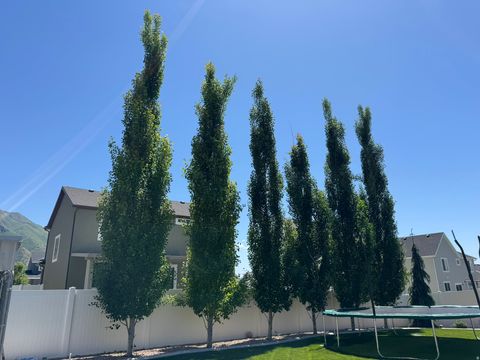 Tiny photo for 245 W 1770 St S, Payson, UT 84651 (MLS # 2139554)