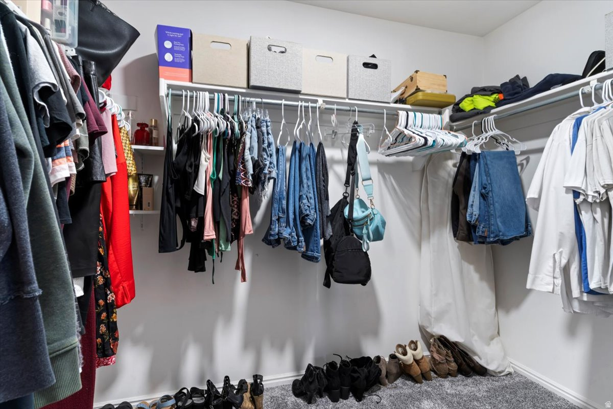 DRAAYER MEADOWS - Residential