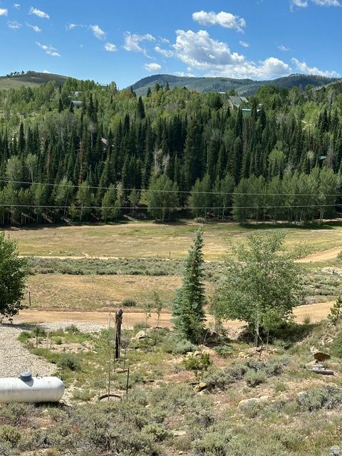 Tiny photo for 1085 W ELK RD RD N, Scofield, UT 84526 (MLS # 2168471)