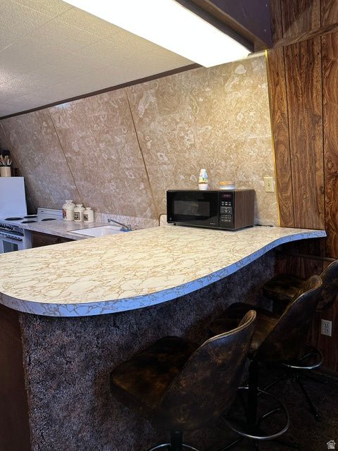Tiny photo for 1085 W ELK RD RD N, Scofield, UT 84526 (MLS # 2168471)