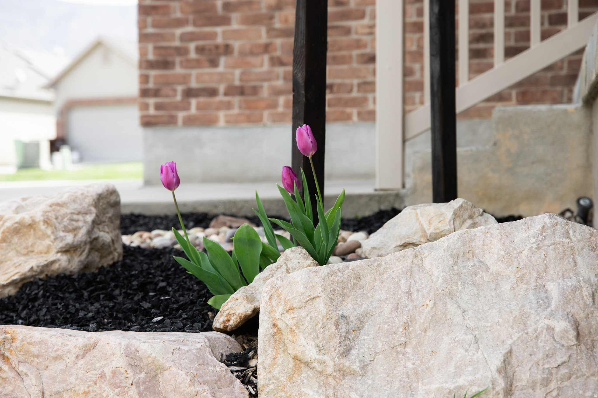 PARK SPRINGS - Residential