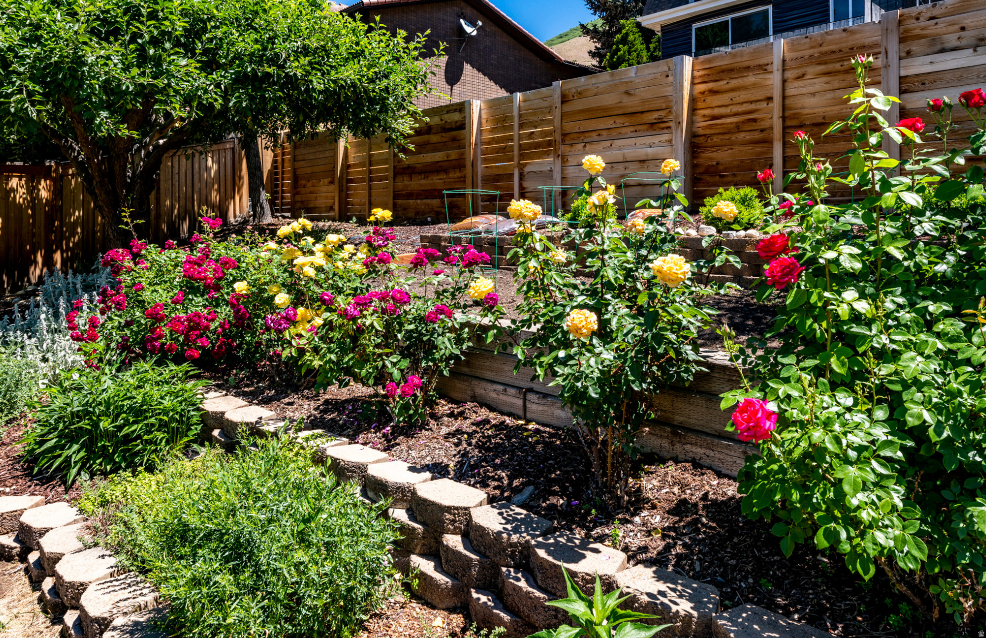 TOP OF THE WORLD - Residential