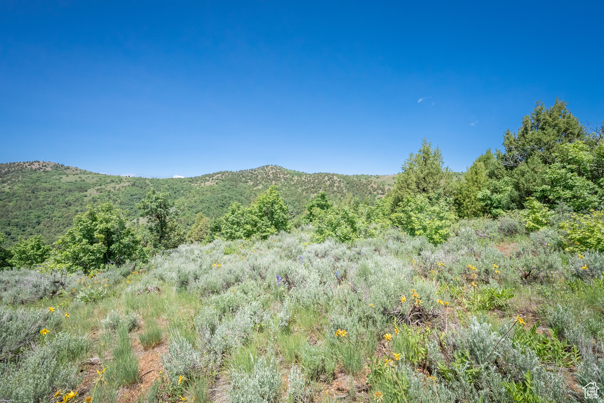 BEAR RIVER RANCHES - Land
