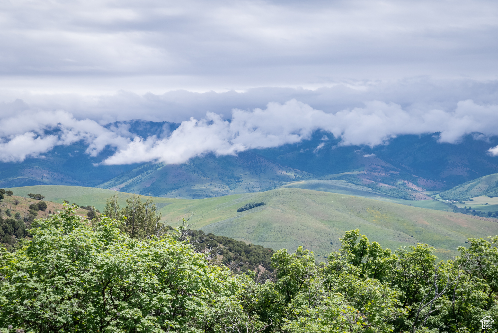 BEAR RIVER RANCHES - Land