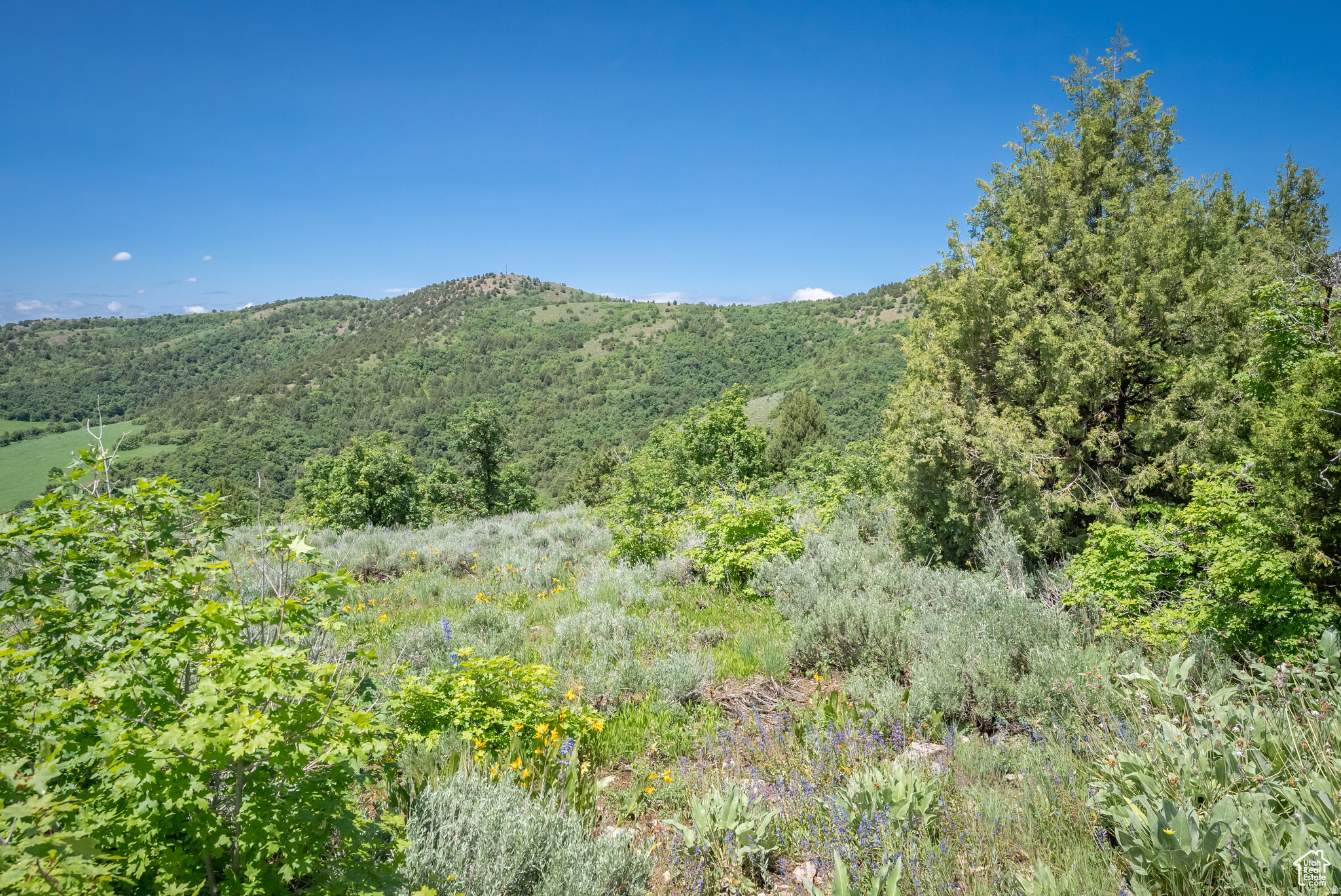 BEAR RIVER RANCHES - Land