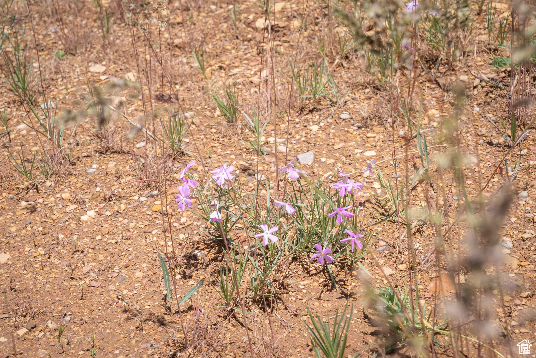 BEAR RIVER RANCHES - Land