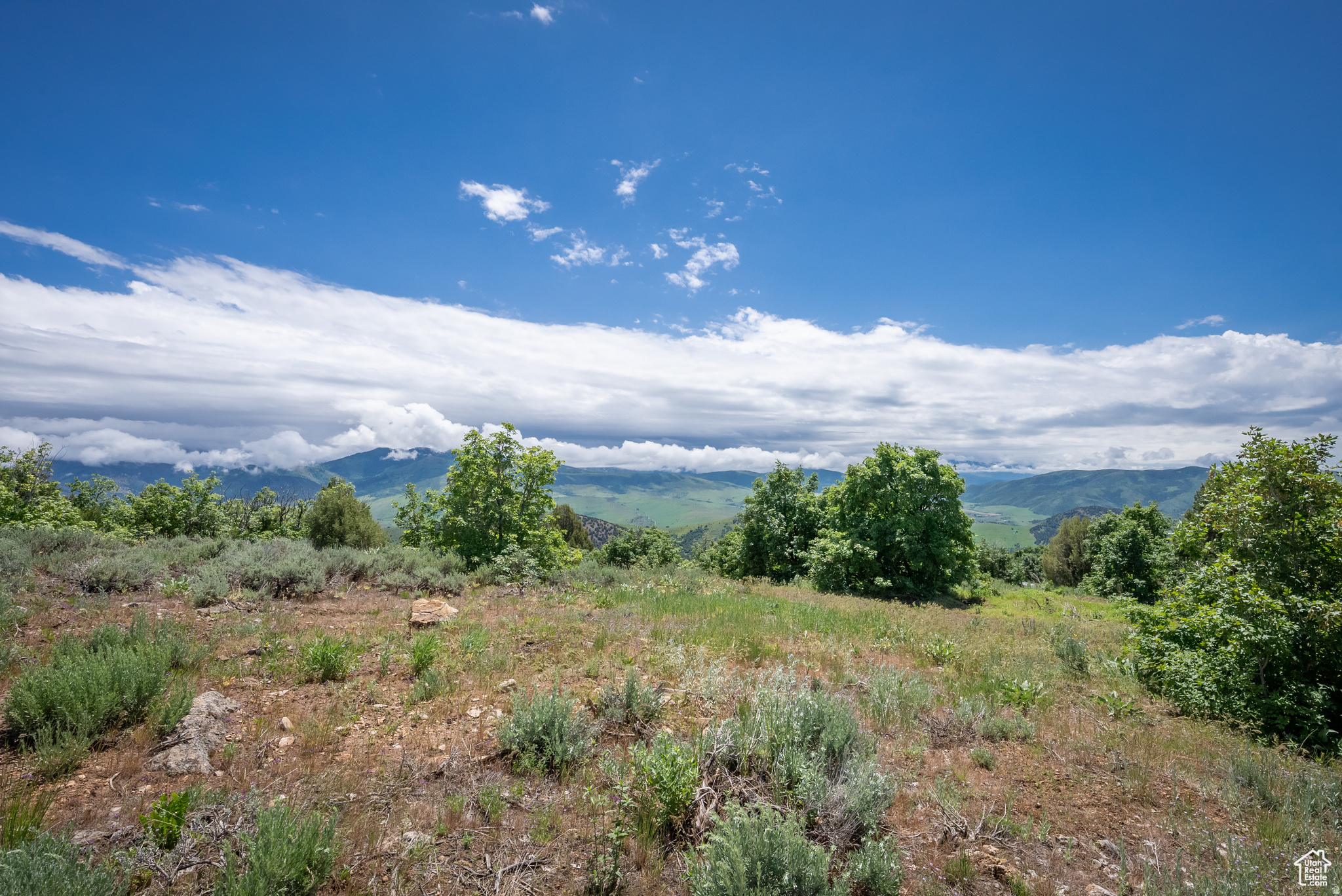 BEAR RIVER RANCHES - Land