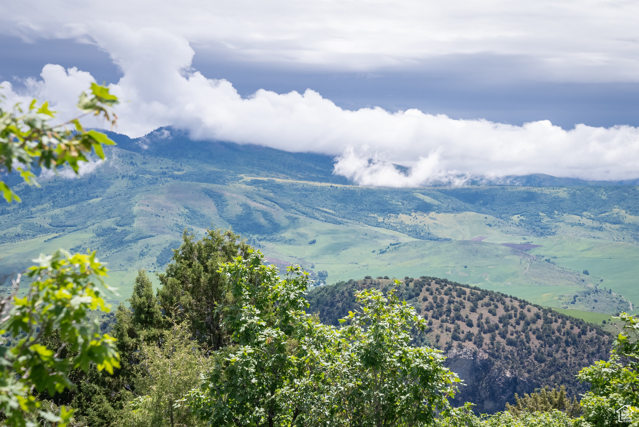 BEAR RIVER RANCHES - Land