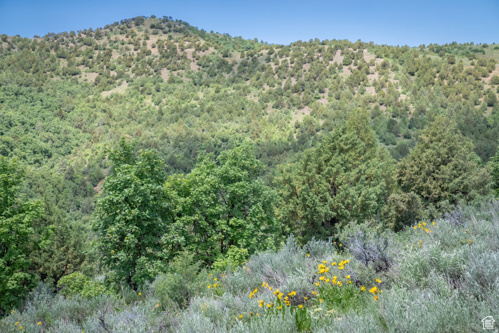 BEAR RIVER RANCHES - Land