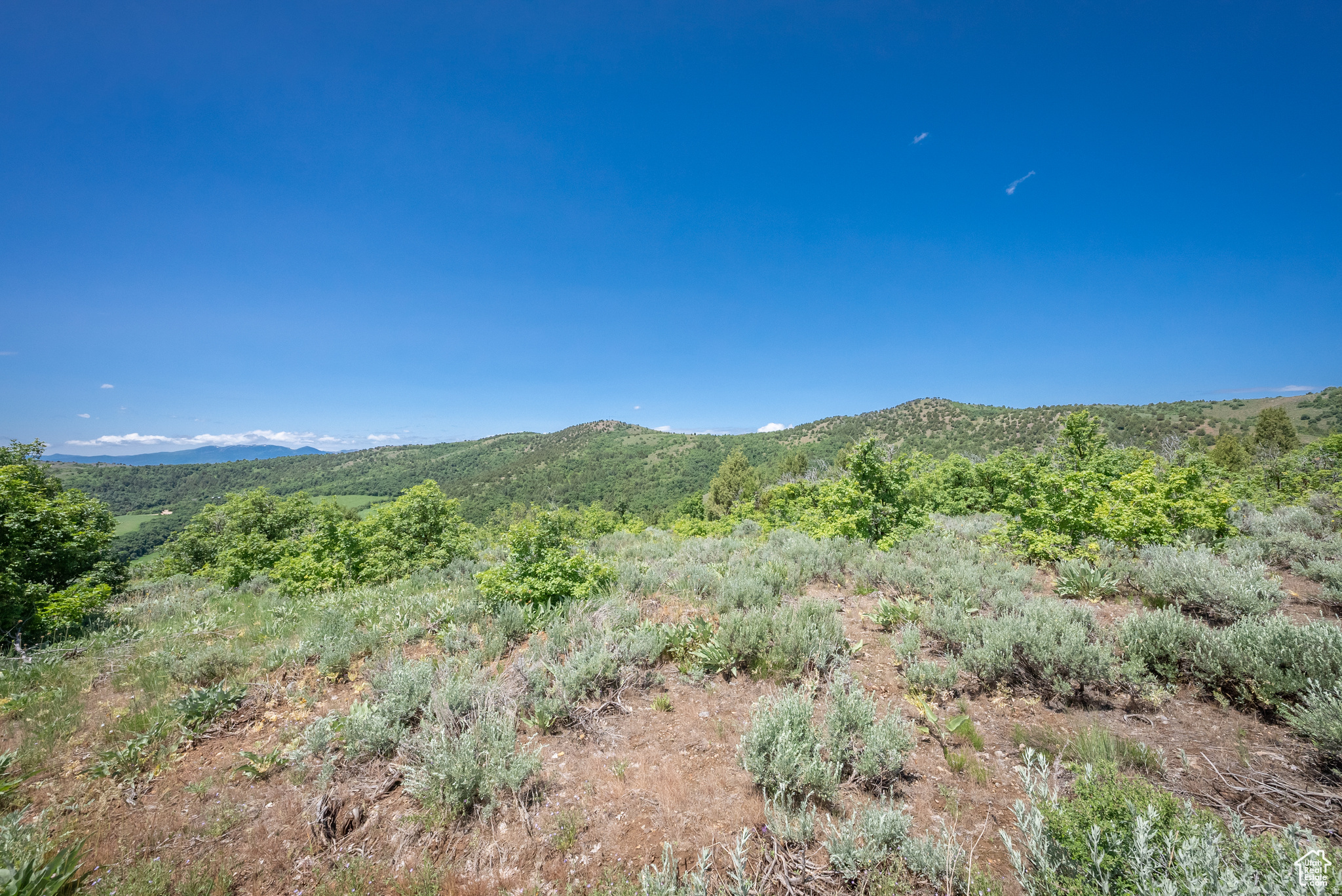 BEAR RIVER RANCHES - Land