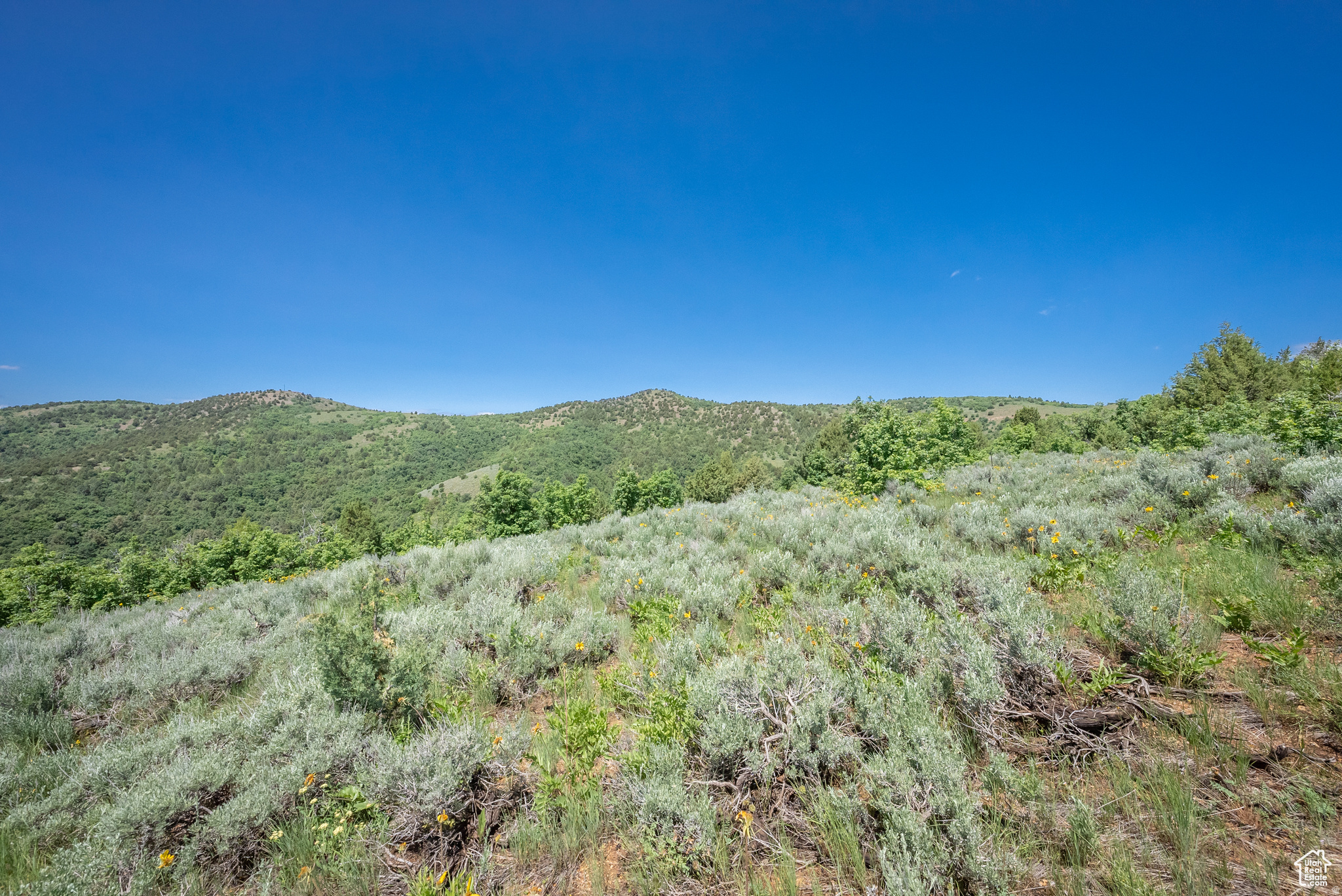 BEAR RIVER RANCHES - Land