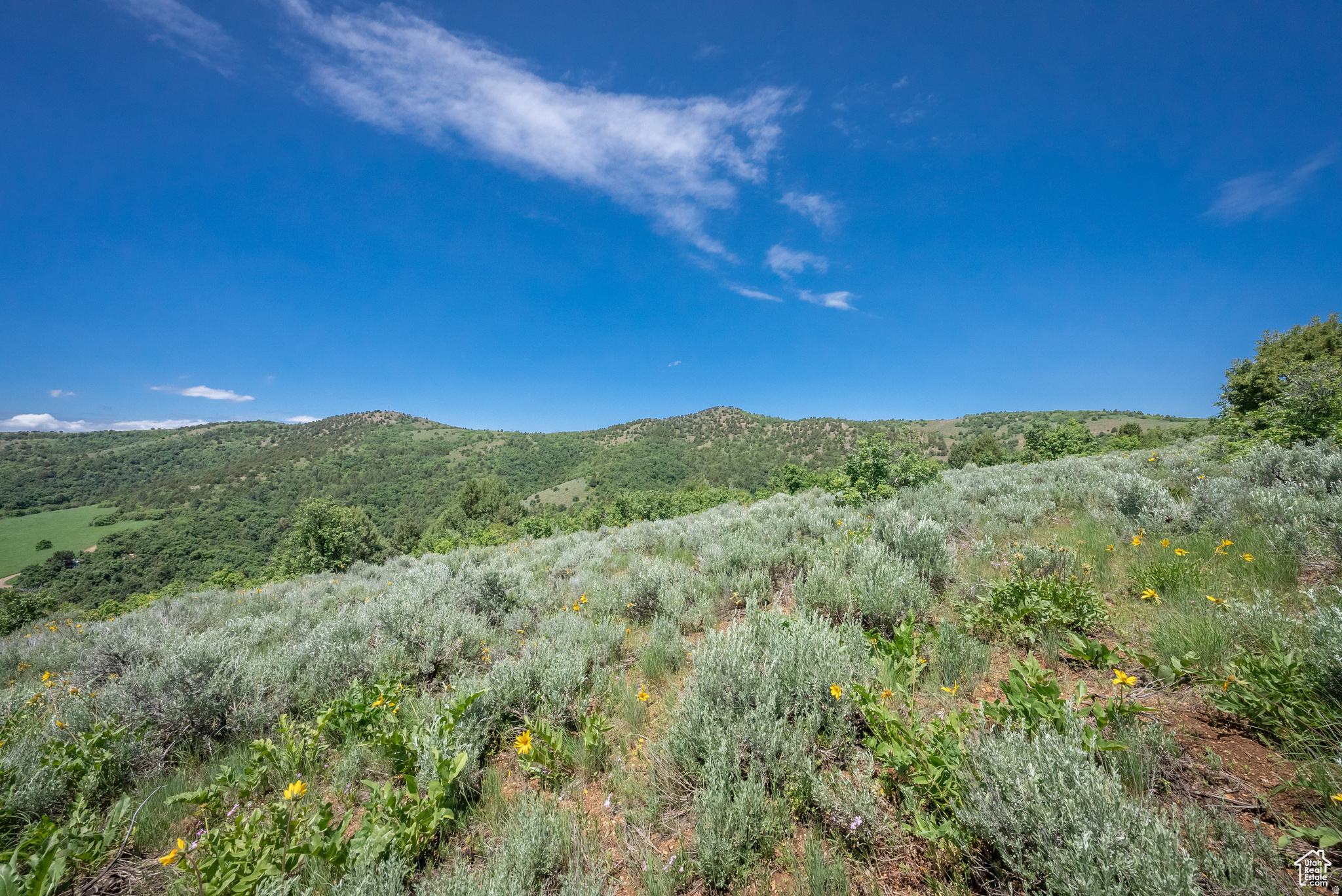 BEAR RIVER RANCHES - Land