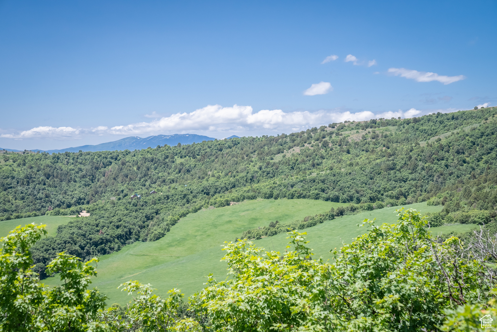 BEAR RIVER RANCHES - Land