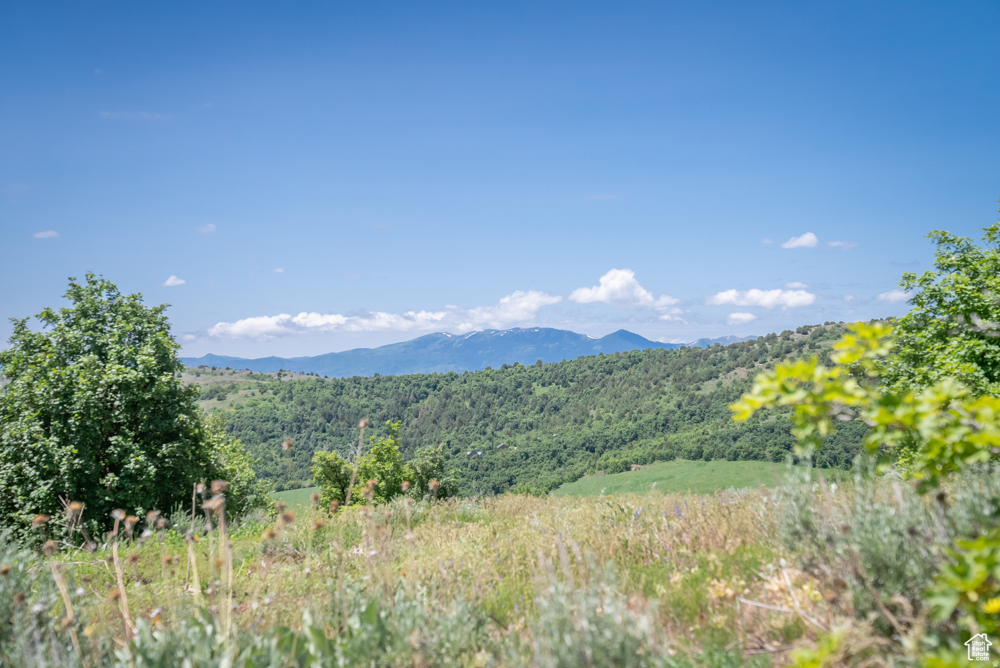 BEAR RIVER RANCHES - Land