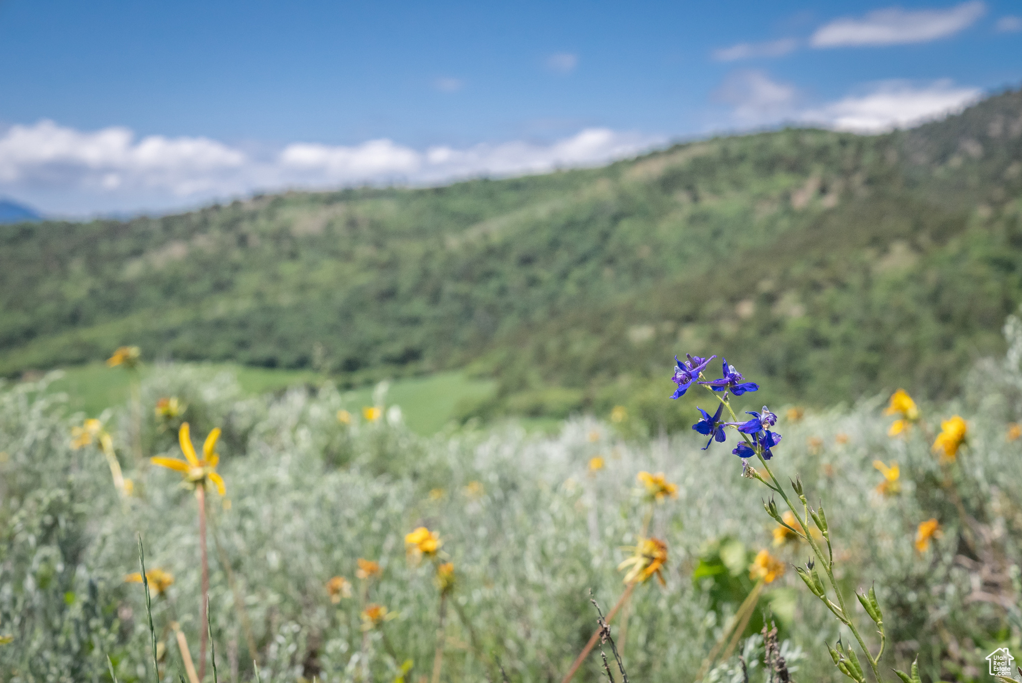 BEAR RIVER RANCHES - Land