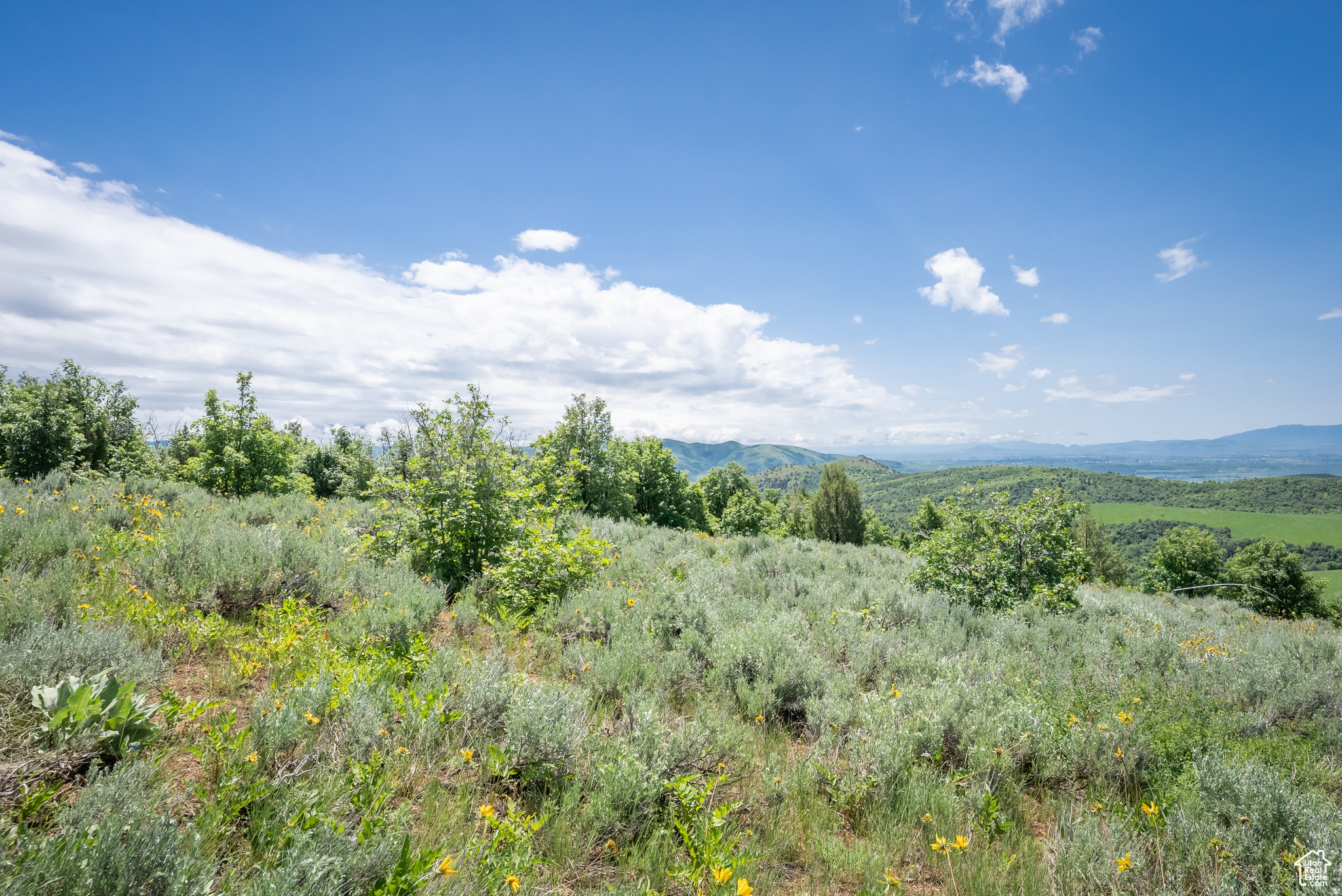 BEAR RIVER RANCHES - Land