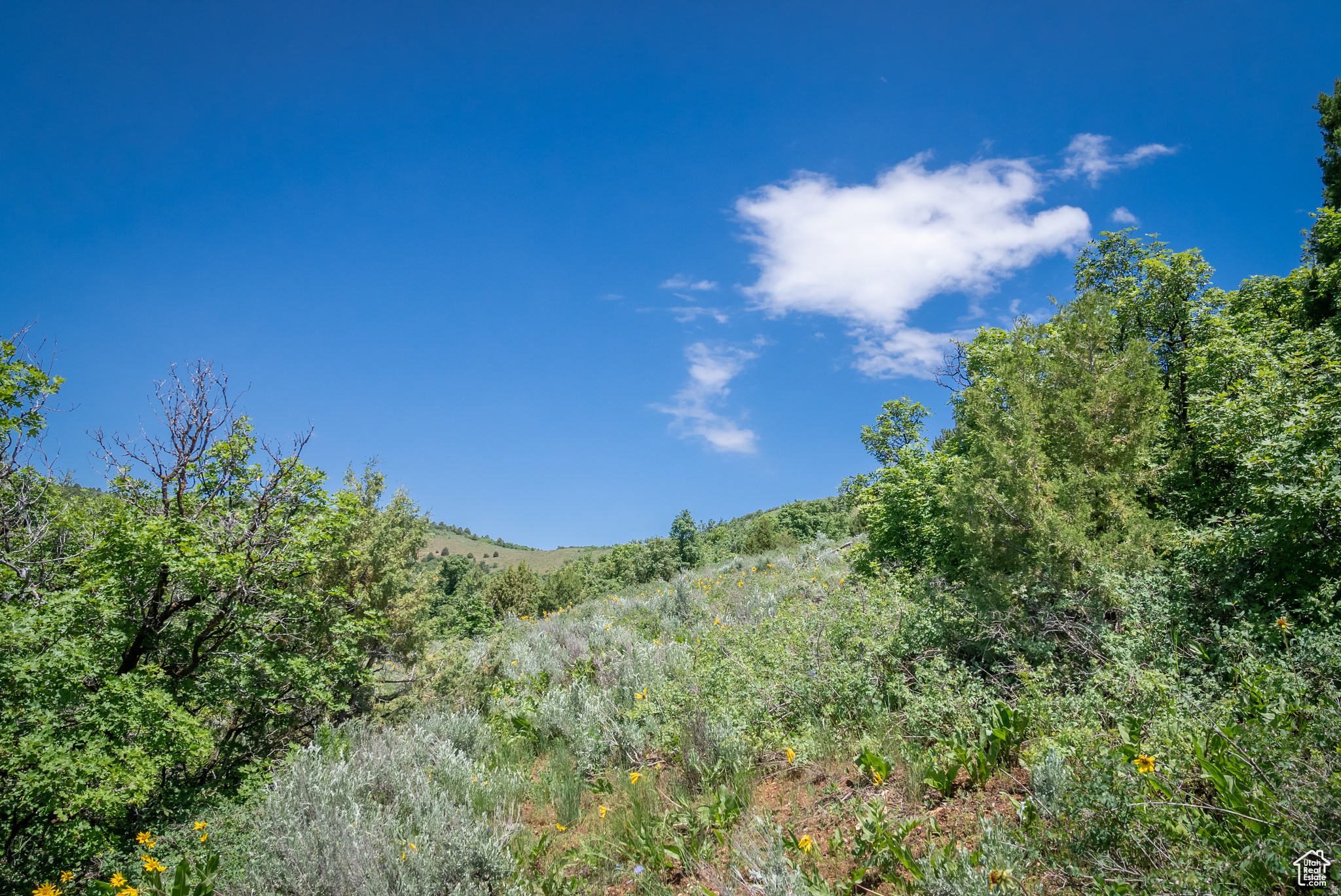 BEAR RIVER RANCHES - Land