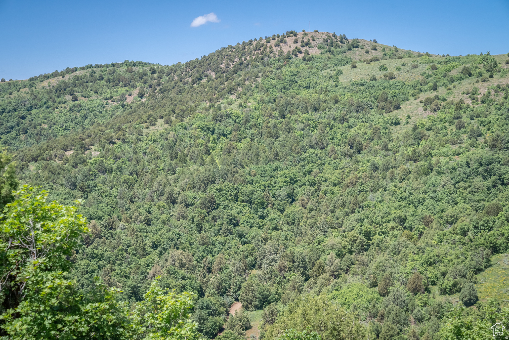 BEAR RIVER RANCHES - Land