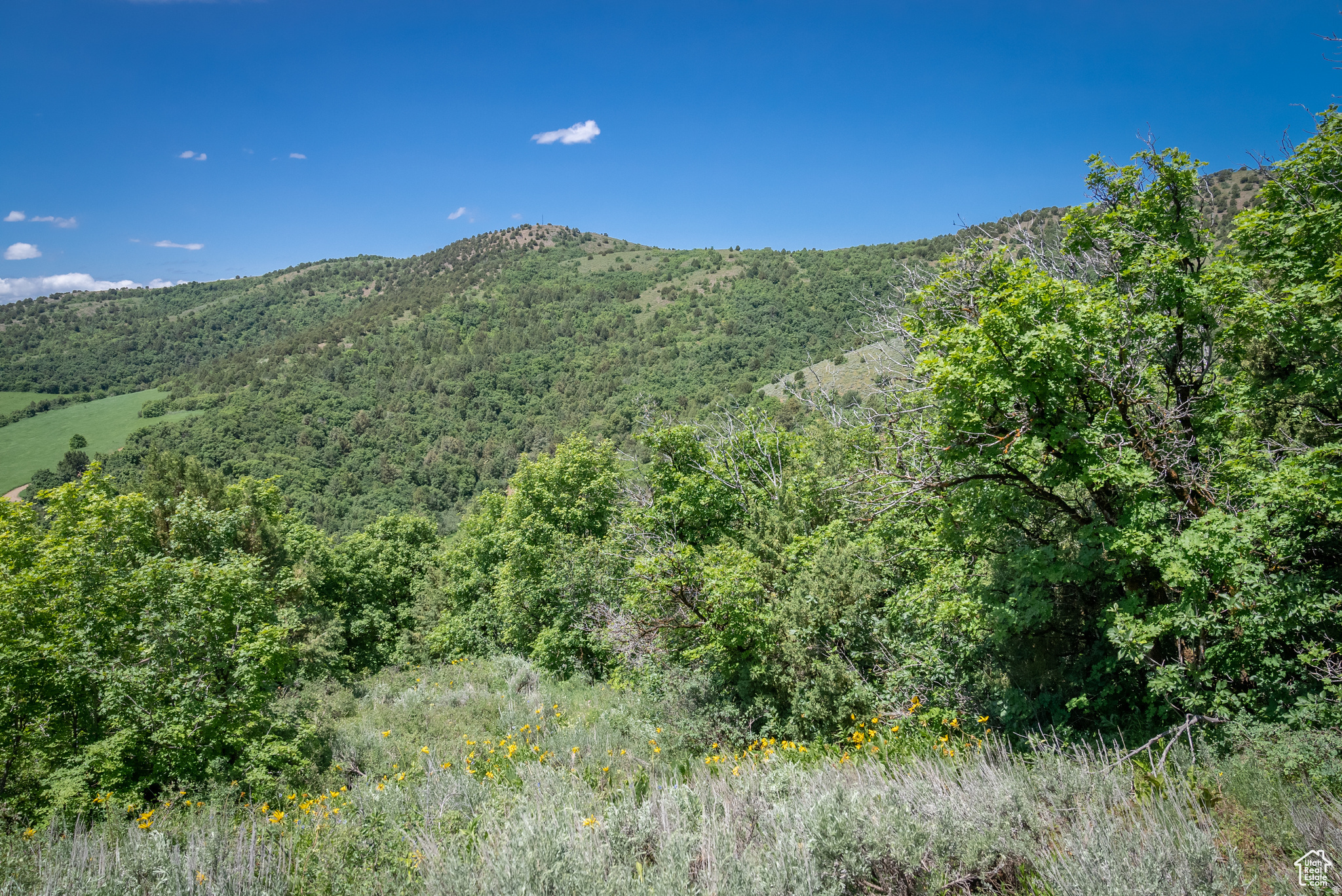 BEAR RIVER RANCHES - Land