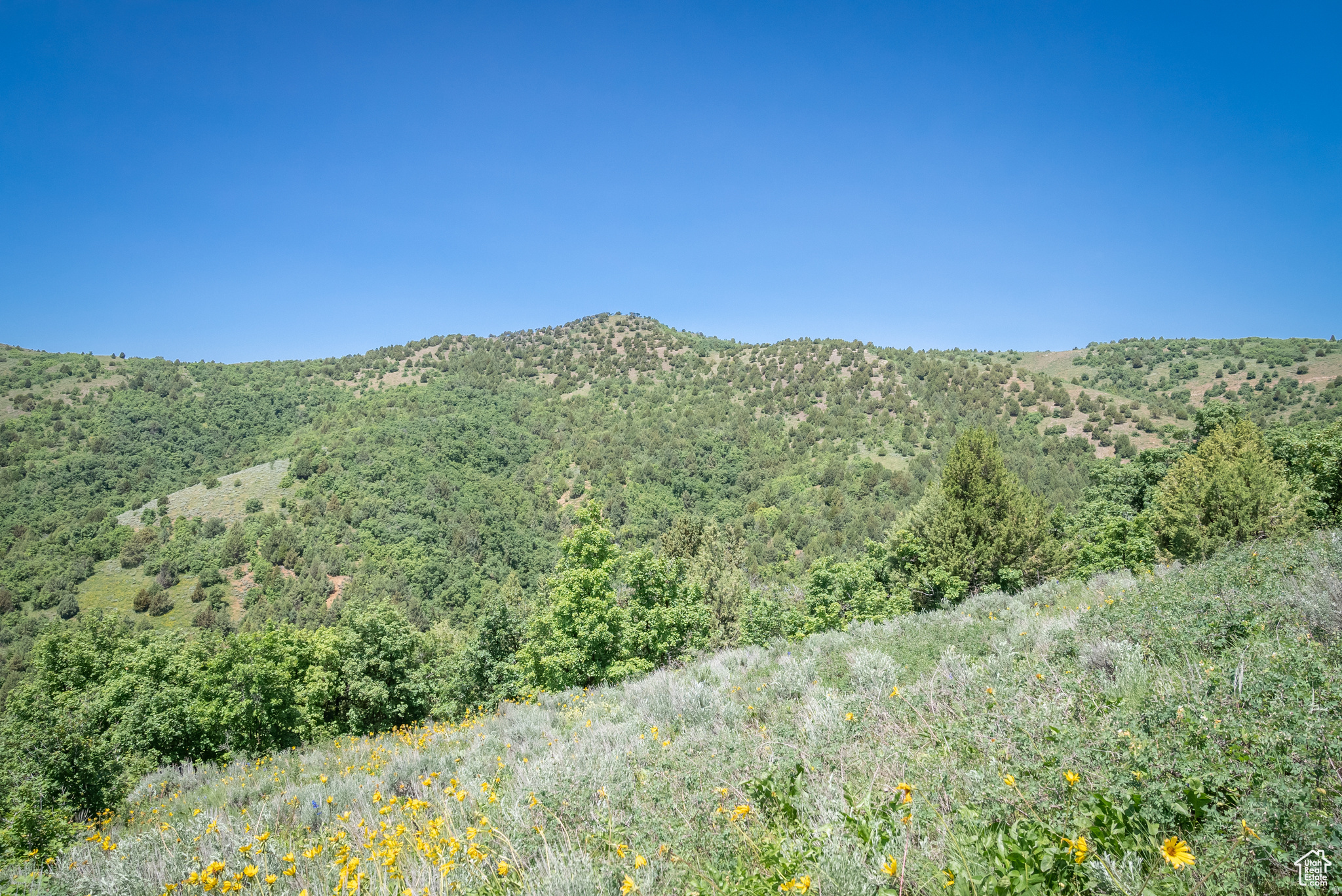 BEAR RIVER RANCHES - Land