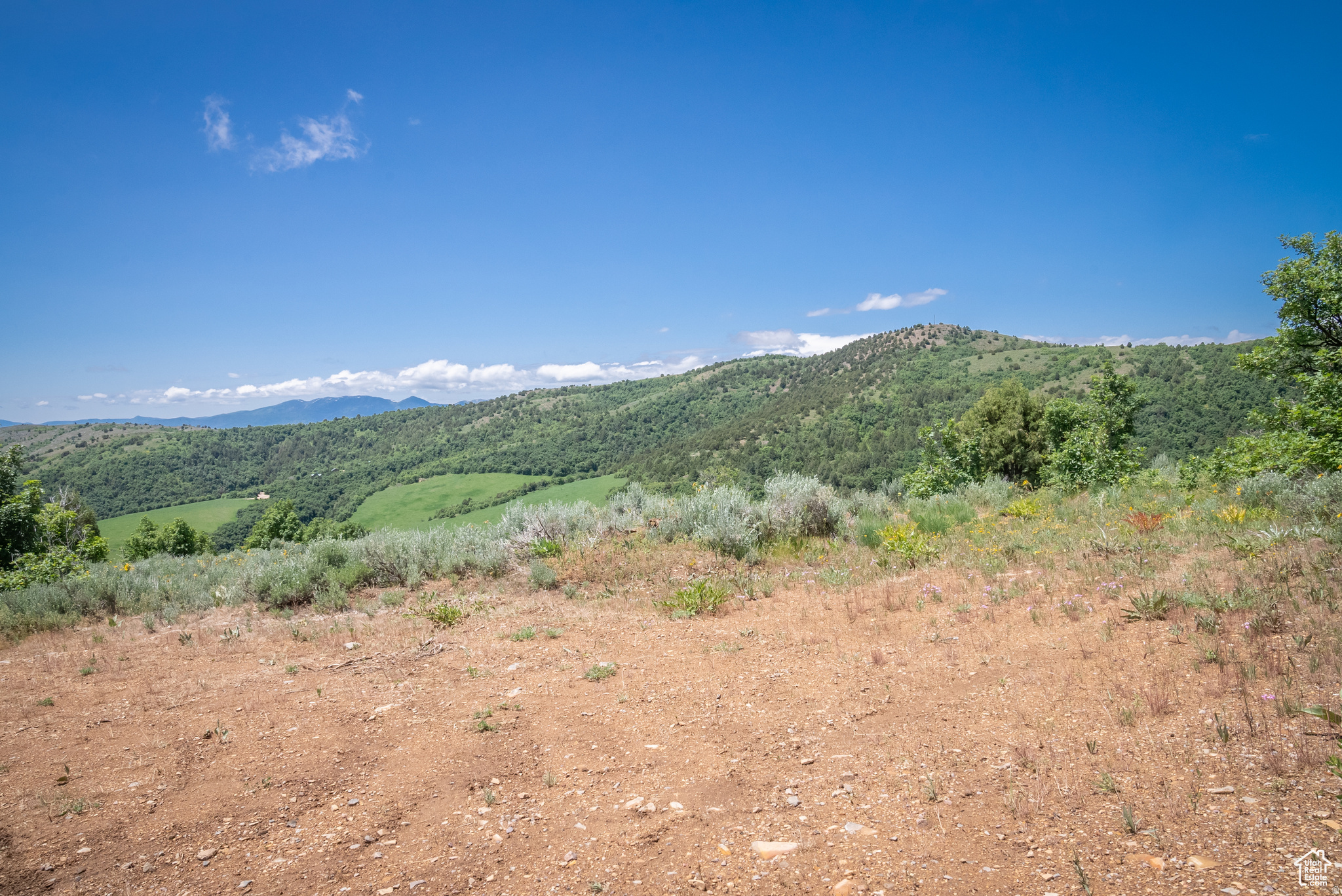 BEAR RIVER RANCHES - Land
