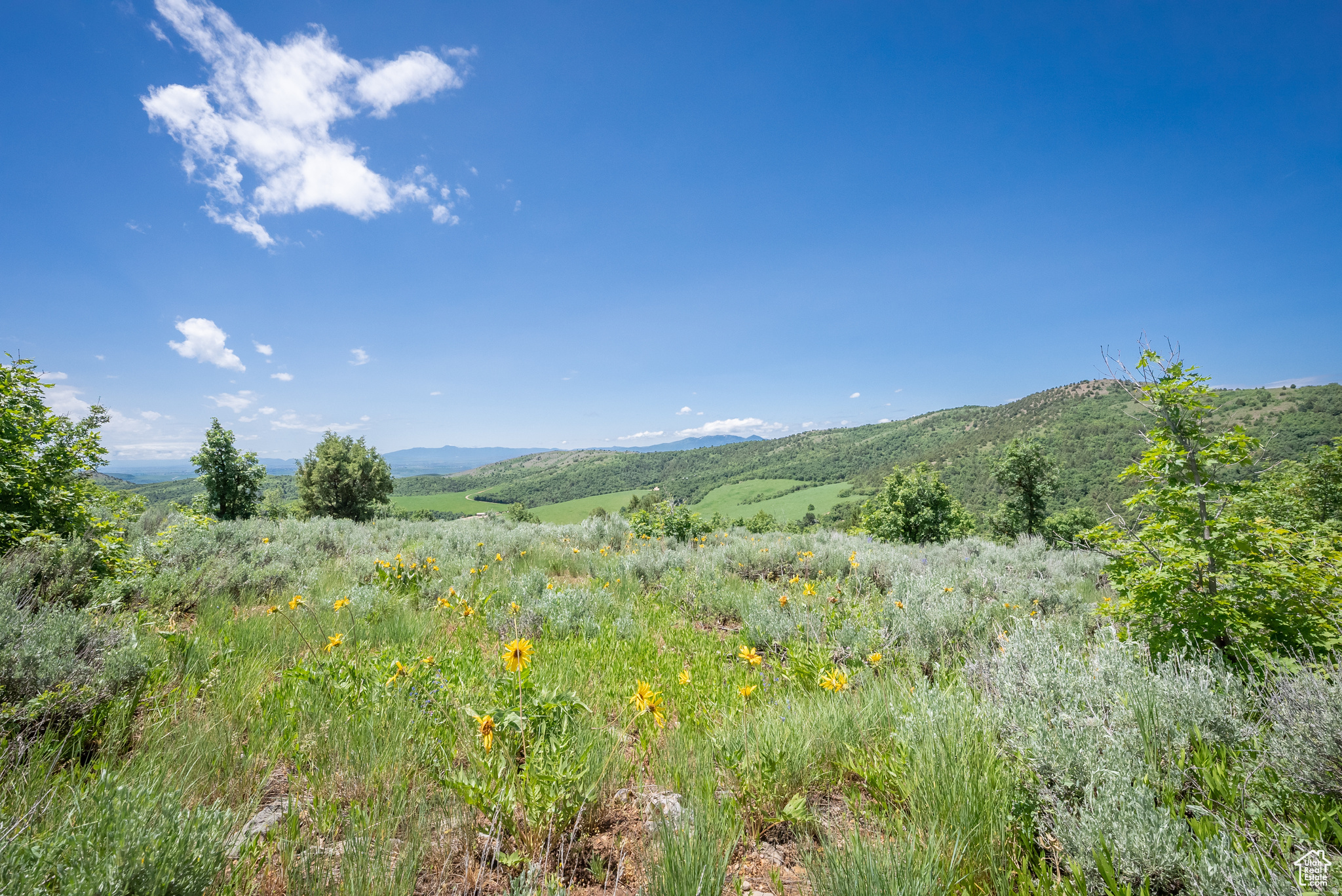BEAR RIVER RANCHES - Land