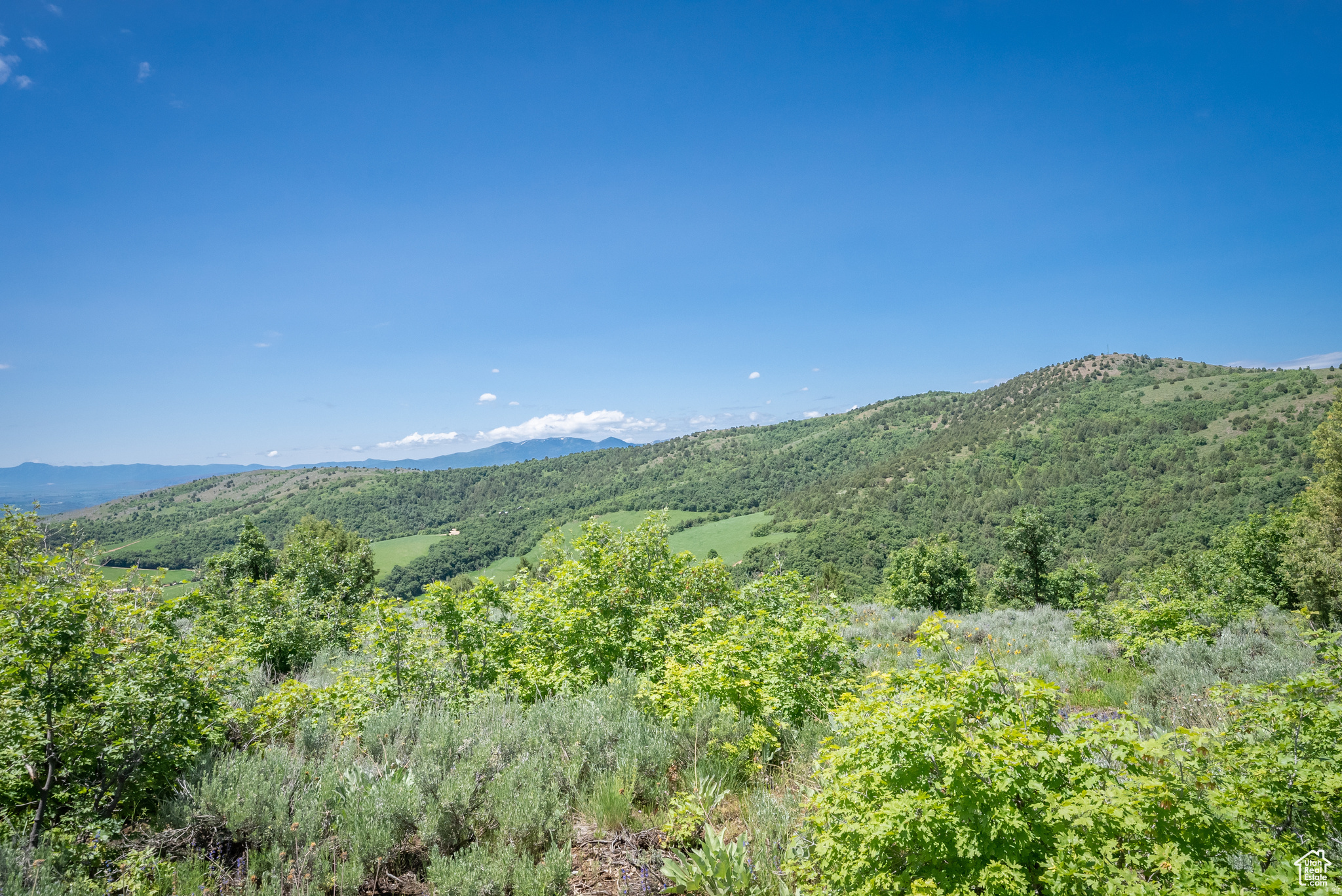 BEAR RIVER RANCHES - Land