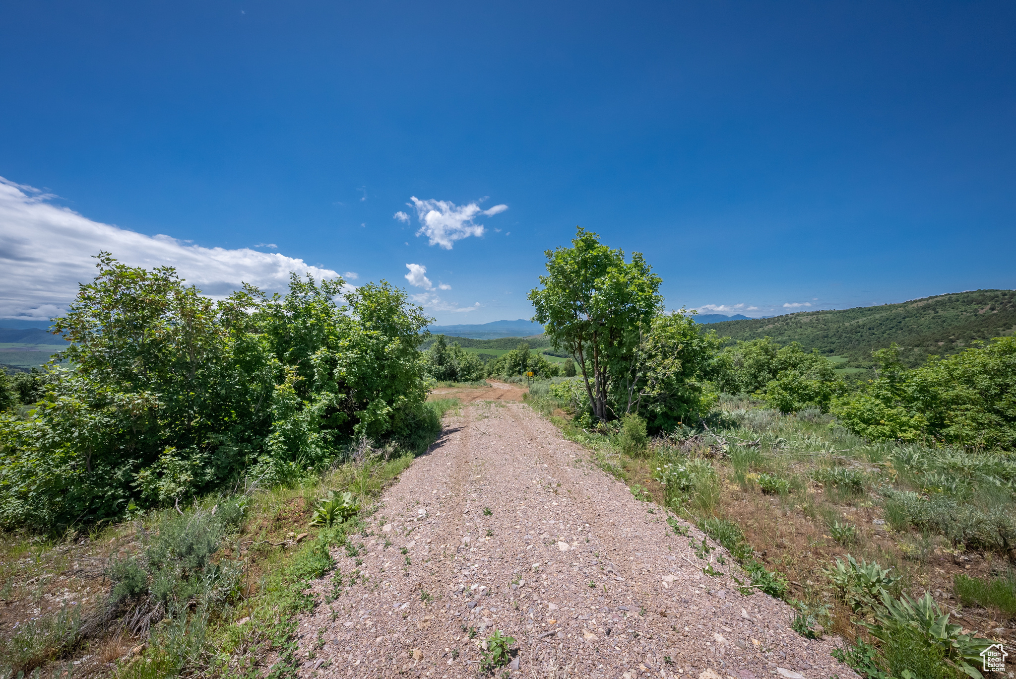 BEAR RIVER RANCHES - Land
