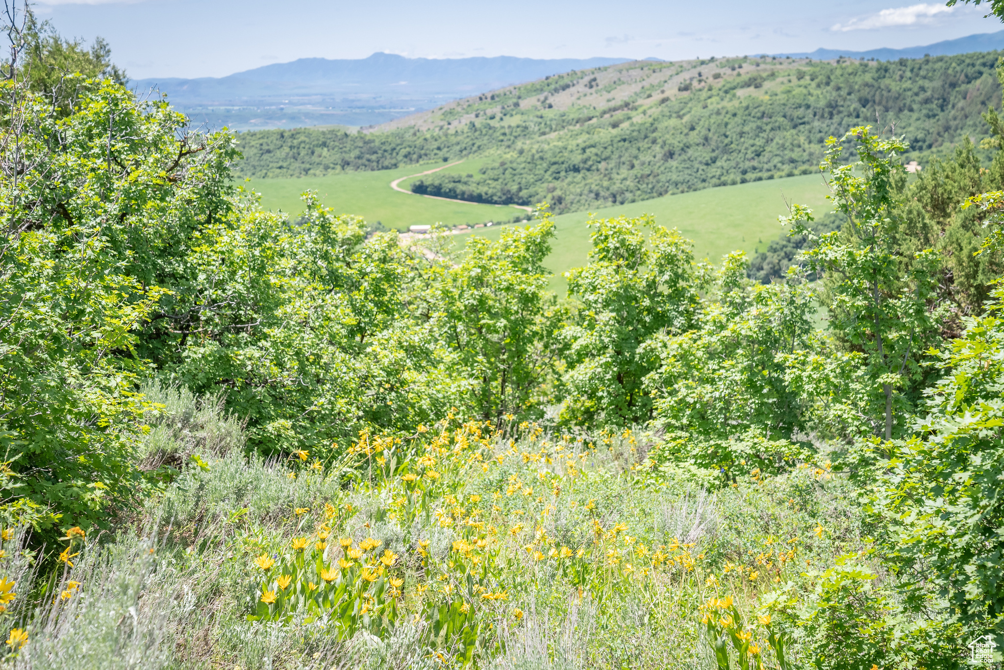 BEAR RIVER RANCHES - Land