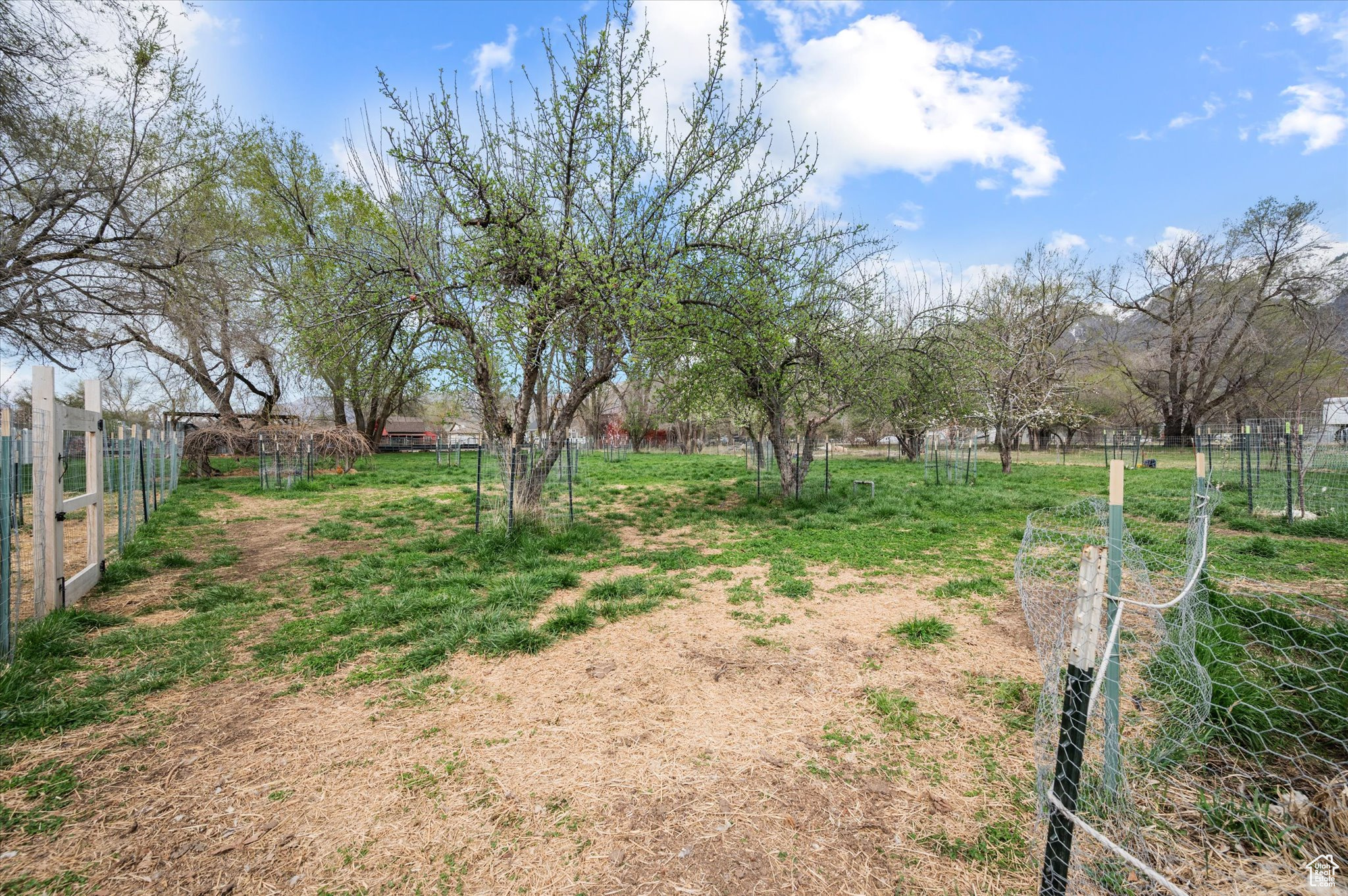 1308 Gilman Dr, Layton, Utah image 36