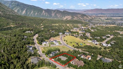 Tiny photo for 1155 S EAGLE NEST DR, Woodland Hills, UT 84653 (MLS # 2096090)