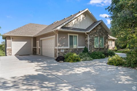 Tiny photo for 1155 S EAGLE NEST DR, Woodland Hills, UT 84653 (MLS # 2096090)