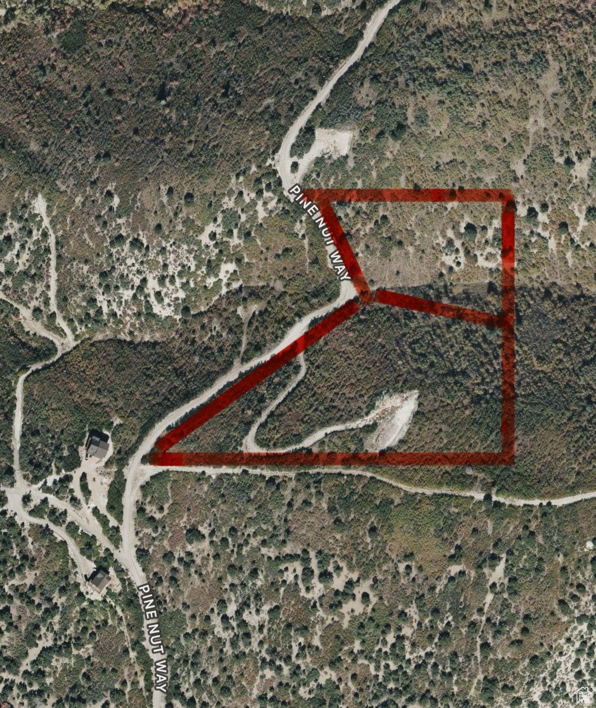 THE MEADOWS & THE HOOLOWS - Land