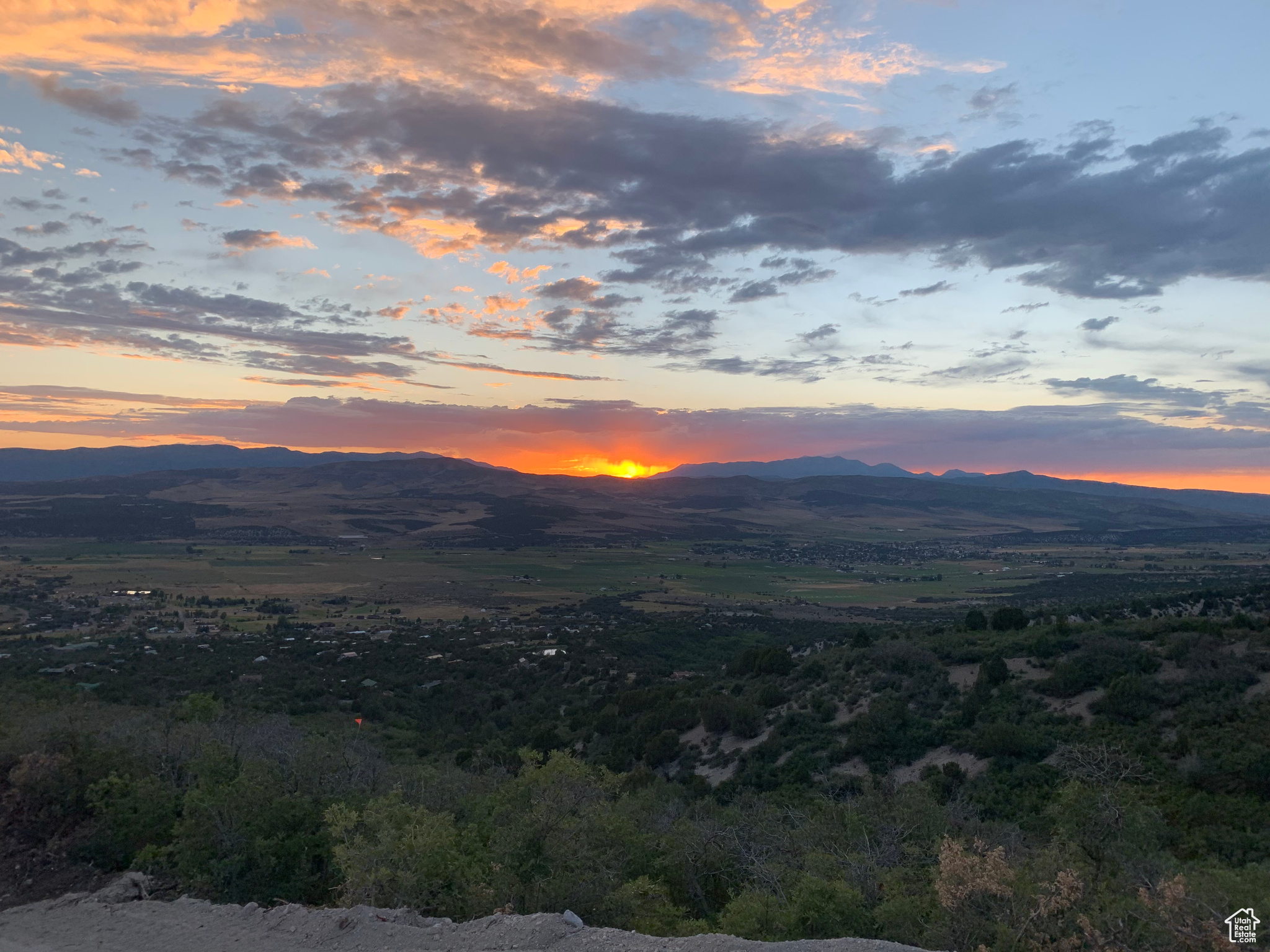 THE MEADOWS & THE HOOLOWS - Land