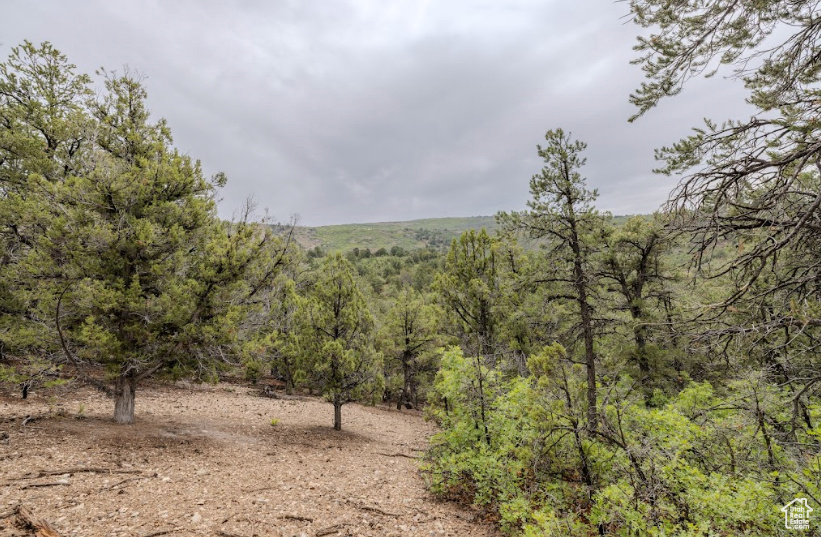ELK HORN RANCHES - Land