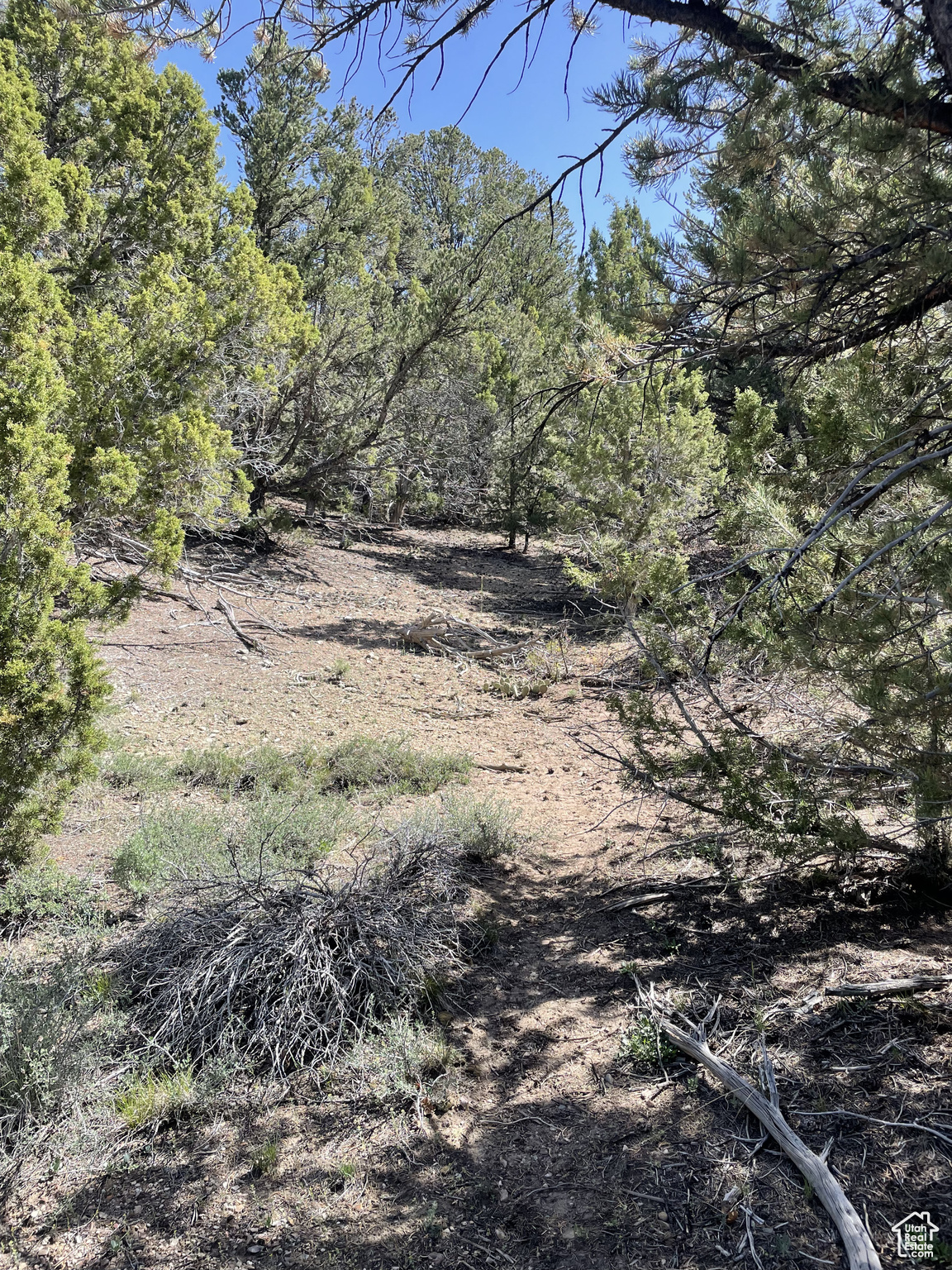 ELK HORN RANCHES - Land
