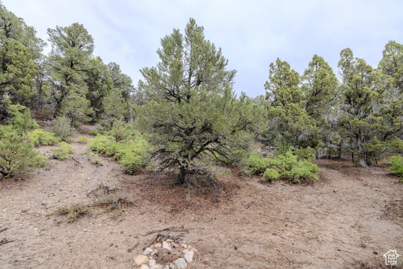 ELK HORN RANCHES - Land