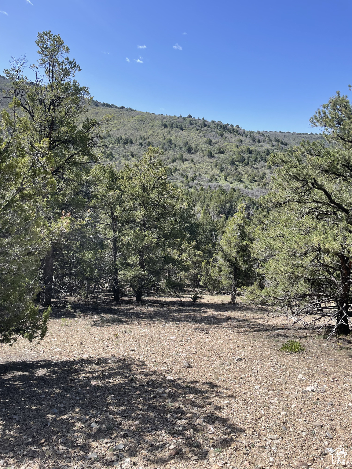 ELK HORN RANCHES - Land