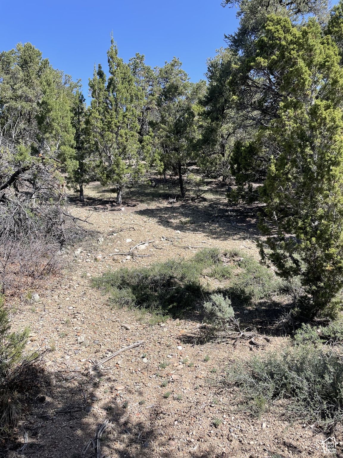 ELK HORN RANCHES - Land