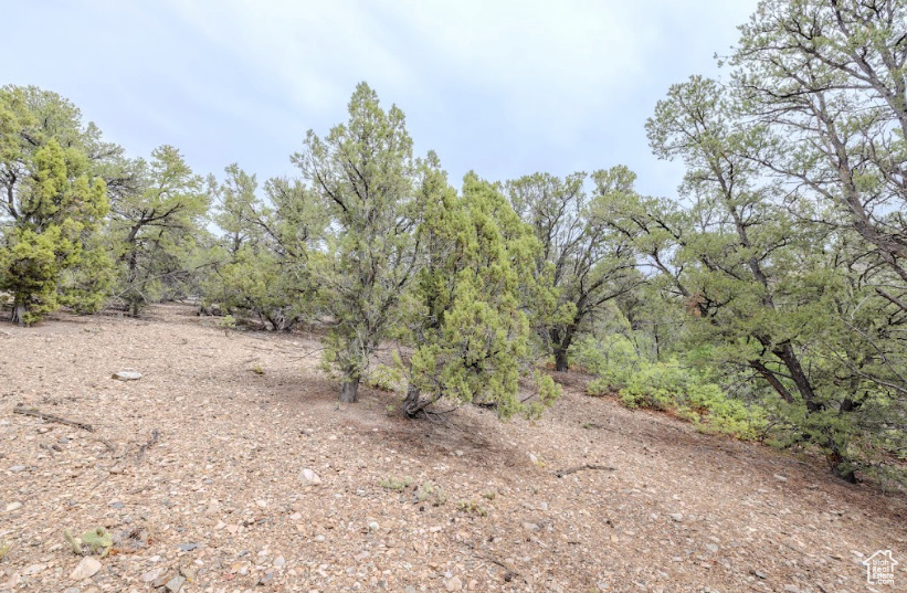 ELK HORN RANCHES - Land