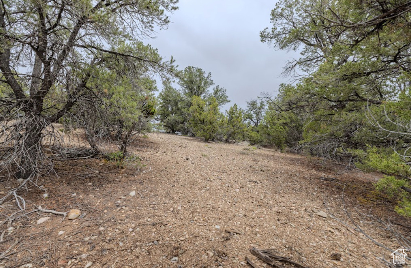 ELK HORN RANCHES - Land
