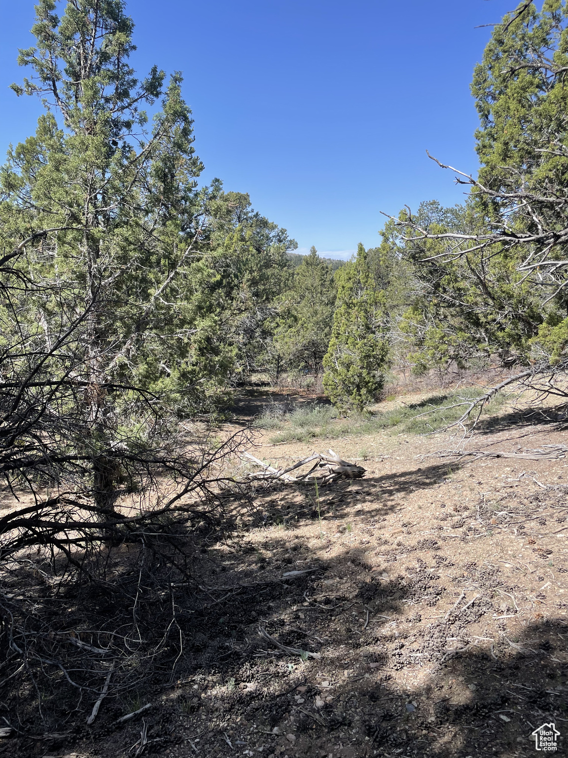 ELK HORN RANCHES - Land