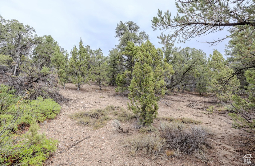ELK HORN RANCHES - Land
