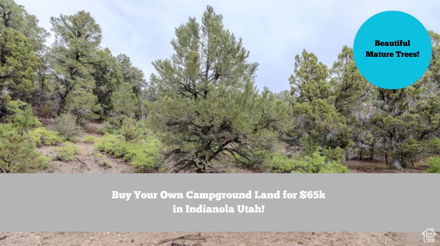 Escape to your own private 5.06 acre retreat in the scenic Utah hills just outside of Indianola. Located on the east side of Highway 89, just south of Hideaway Valley and Blackhawk subdivisions, this secluded property offers stunning views, peaceful surroundings, and the perfect getaway from the hustle and bustle.  Just a four-minute drive from the main road, it's ideal for camping, off-grid living, or building your dream cabin. Owner can camp up to 180 days out of the year on the land.  Enjoy the beauty of nature, starry nights, and the quiet serenity that makes this land a rare find. GPS Coordinates:  39.74509N, -111.45835W