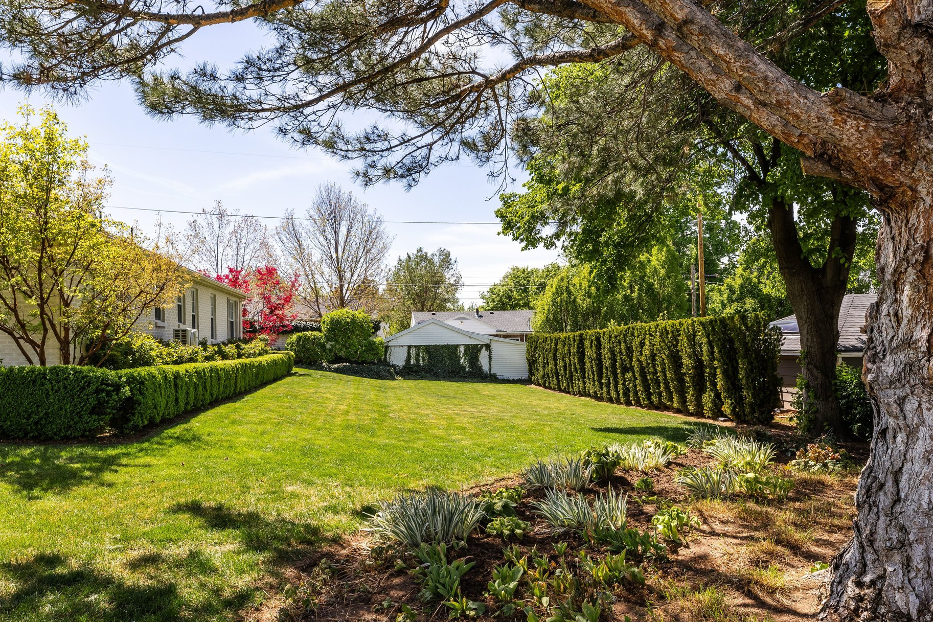 COLONIAL VIEW - Residential