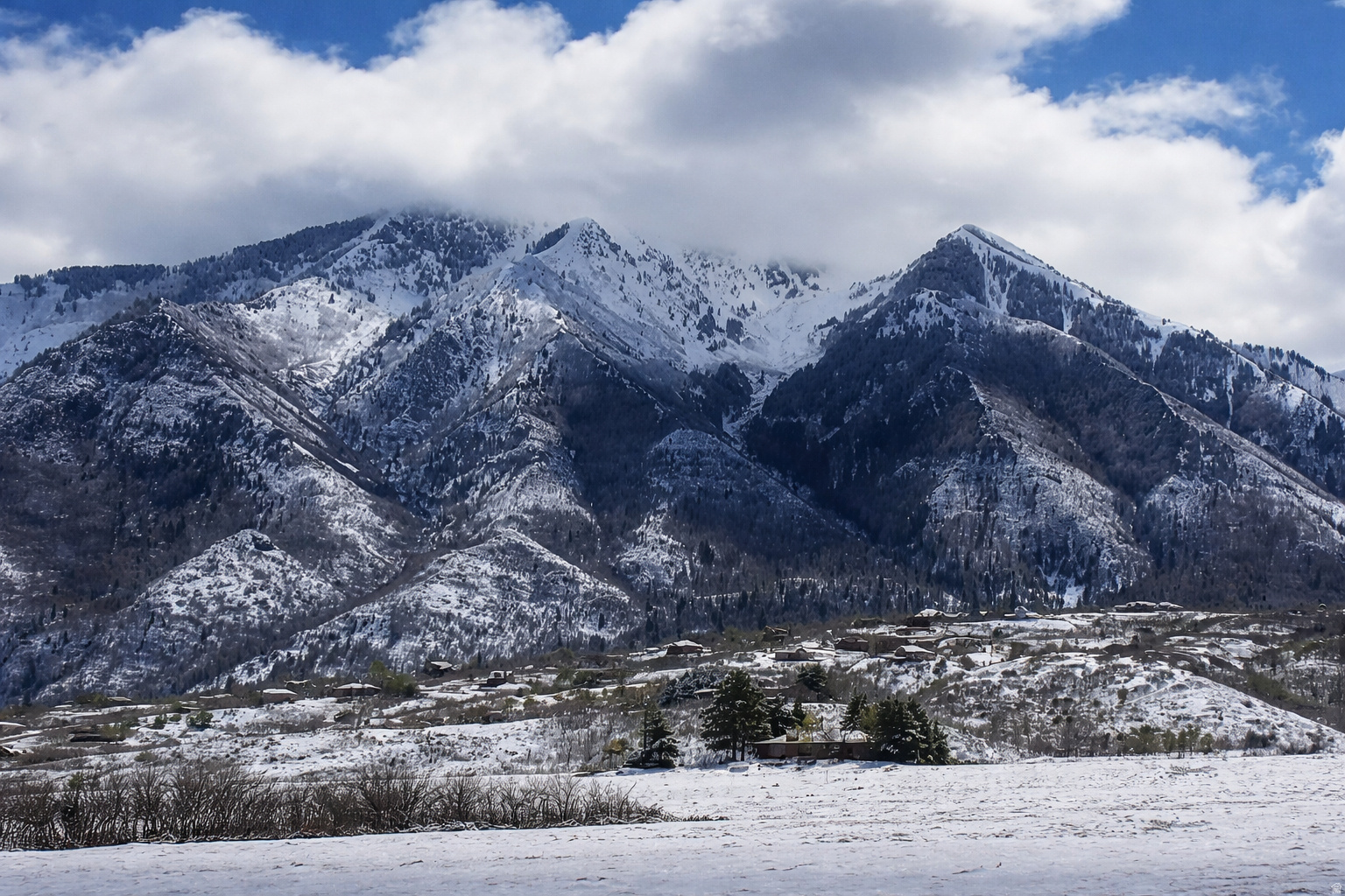 FOUR SEASONS AT WOODLAND HILLS - Land