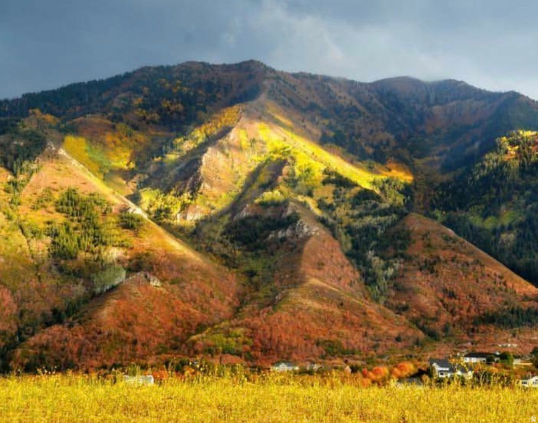 FOUR SEASONS AT WOODLAND HILLS - Land