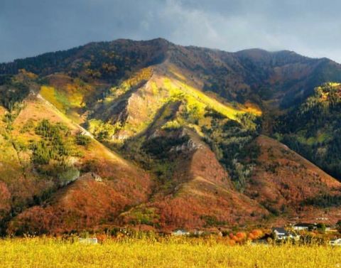 Tiny photo for #43, Woodland Hills, UT 84653 (MLS # 2139609)